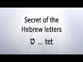 Secret of the Hebrew letter Tet