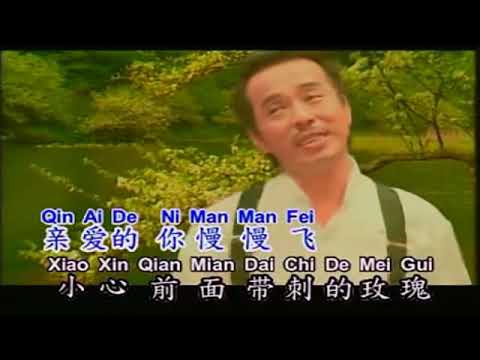 liang zhi hu die 两只蝴蝶 lin si jian KARAOKE
