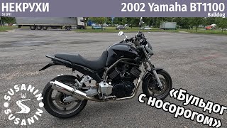 :  11 - Yamaha BT1100 Bulldog. ,  