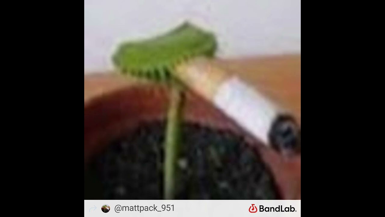 Matthew Bowman - Ain't No God Like mine Remade (my first music)