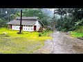 Rain in the beautiful countryside in the hills of Indonesia||very cool and calming