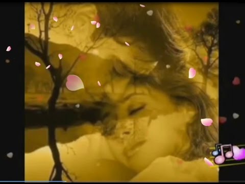 მაგარი სიმღერა სიყვარულზე