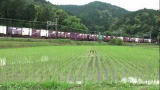 東海道本線 大垣 - 関ヶ原 2012/06撮影 EF65