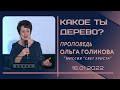 Какое ты дерево? Ольга Голикова. 16 января 2022 года