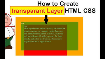 how to create transparent layer using html css  | css opacity with z-index