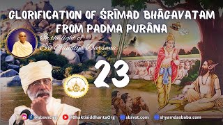 видео: SBru251029 Прославление Шримад-Бхагаватам из Падма-пураны #23 картинка: SBru251029 Прославление Шримад-Бхагаватам из Падма-пураны #23