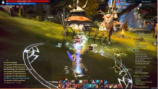 Tera level 48-58 easy xp guide