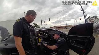 Ripping out air filters based on a dog's "interest" caught on bodycam
