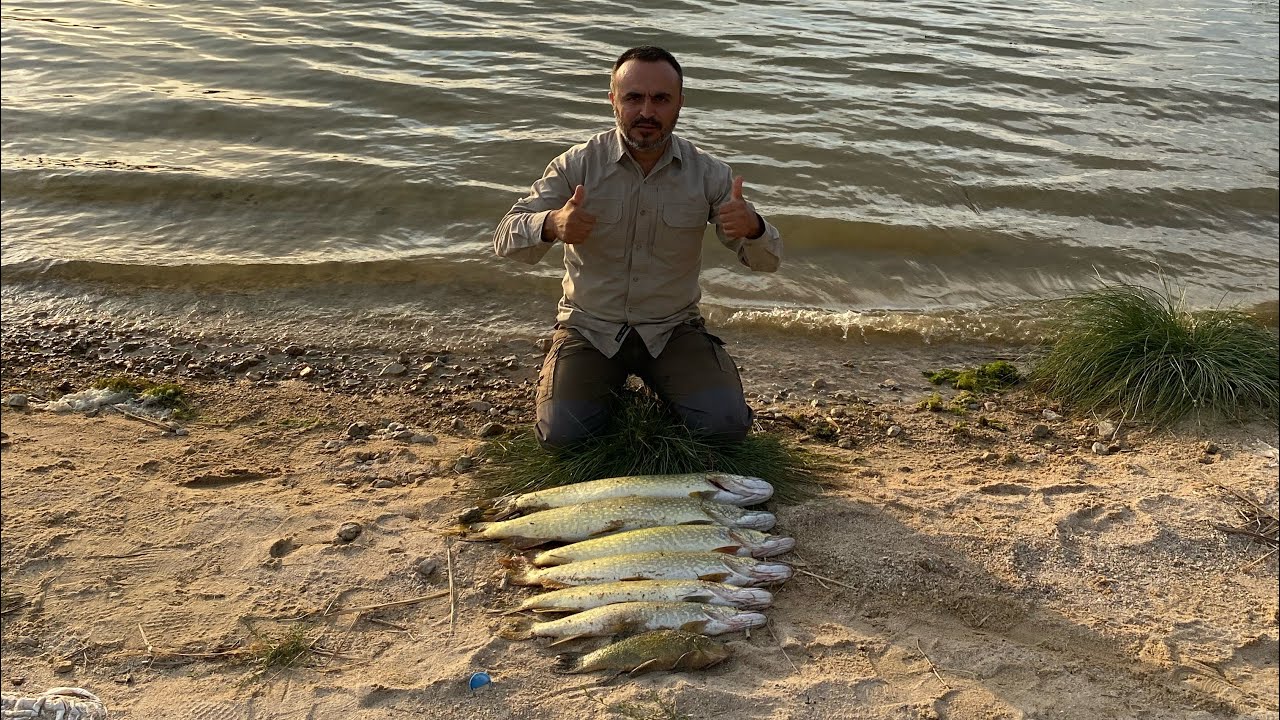 TURNA AVI ÇOK GÜZEL BOYLARDA TURNA YAKALADIK AKSİYON DOLU BİR VİDEO