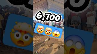 అర ఎటర గదవర పడగపప Top Rate