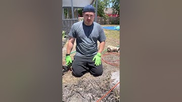 Plumber Hydro-Jets Cast Iron Pipes