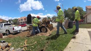 Time Lapse Stump Grinding