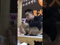 2017CFA貓展  拉波捲毛貓  Laperm cat の動画、YouTube動画。