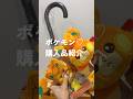 パモｻﾝ沢山🍊💓ポケモン購入品紹介〜🎵