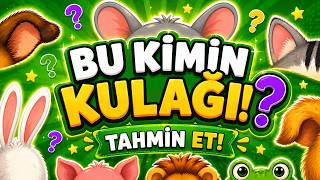 Bu Kimin Kulağı? 👂 %99 Yanılıyor Çocuklar İçin Eğlenceli Tahmin Oyunu 🐶🐱🐘