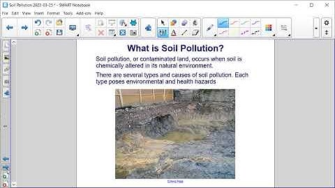 Soil Pollutants and Their Effects