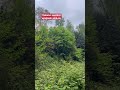 Rizede kuş sesleri eşliğinde doğa yürüyüşü ✌️🥰