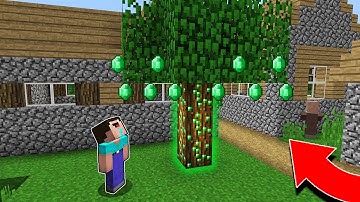 Minecraft - NOOB vs PRO : NOOB FOUND EMERALDS IN TREE IN SECRET VILLAGE! Challenge 100% trolling