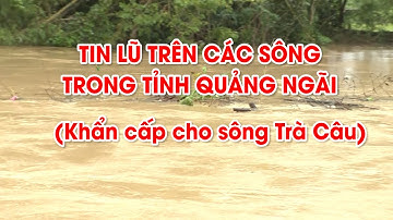 Tin lũ trên các sông trong tỉnh Quảng Ngãi (khẩn cấp cho sông Trà Câu) | PTQ