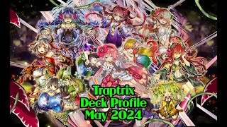 Traptrix Deck Profile May 2024