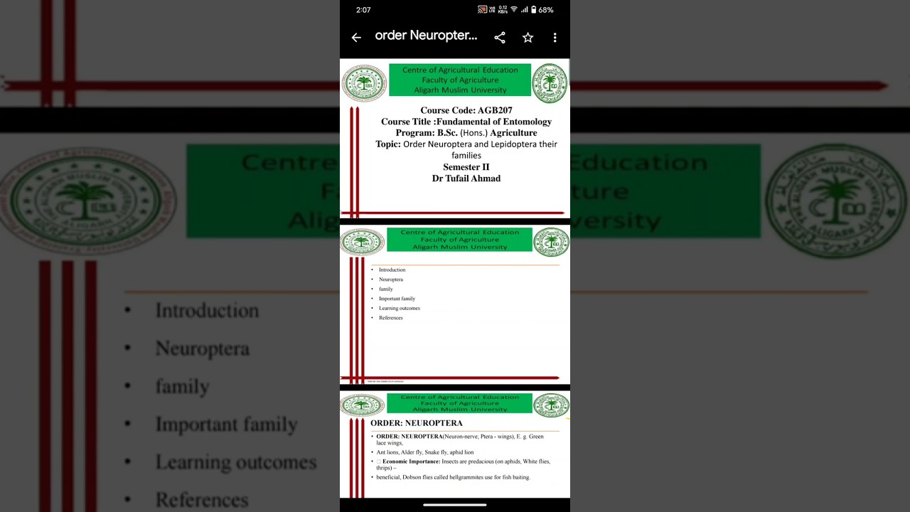Order Neuroptera and Lepidoptera