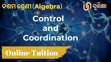 Odia Medium Class 10 Life Science Chapter 5 | Control and Coordination Detailed Explanation (part-1)