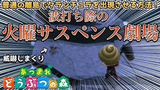 【小ネタ】離島でタランチュラ島を作って即興で火サス劇場再現してみたwwwww【あつまれどうぶつの森】