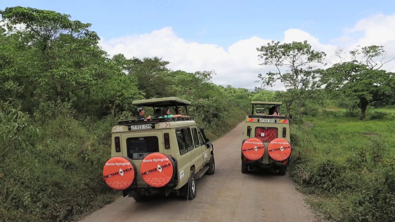 safari cars youtube
