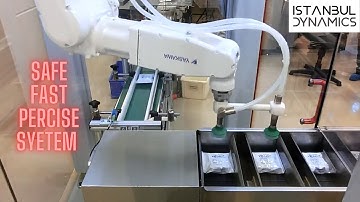 Linear robots packing ampoules fast and precise