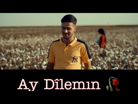 Murat Dağ X Servet Tunç AY DILEMIN  [ OFFİCİAL VİDEO ] (KURDİSH TRAP)