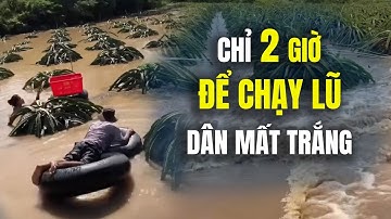 Bình Thuận Xả Lũ Kỹ Lục: Báo Trước 2 Giờ Là 