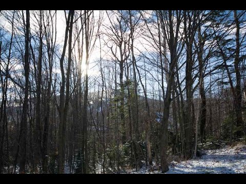16 Lower Highlands Lot 3, Dover, VT home video tour
