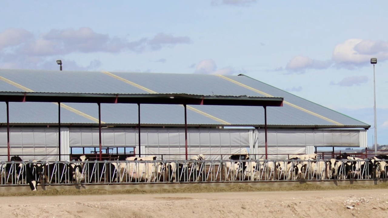 2017 Canyon County Farm Family of the Year YouTube