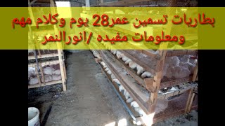 عمر 28يوم ومعلومات عن البطاريات مهمه جداً