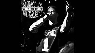 What It Meant  The Demo 2025  Demo