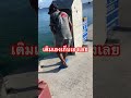 เติมเองเก็บเองเลย #funnyshort #fun #funnyvideo #funny #ตลกฮาฮา #ตลกขำๆ #ตลก #คลายเครียด #ฮ่าฮ่า