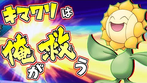 キマワリ