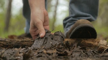 Vortex Nation – Can You Feel the Love?