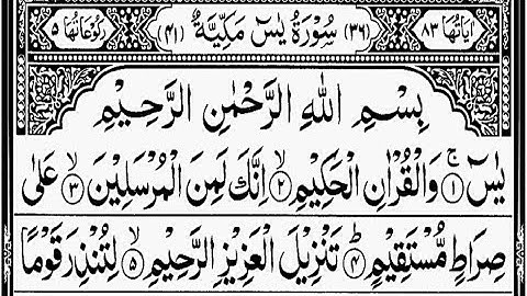 সুন্দর কুরআন তেলাওয়াত - প্রতিদিন সকালে শুনুন সূরা ইয়াসিন (سورة يس) | Surah Yasin | Read Al-Quran