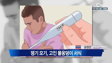 동남아 뎅기열 급증... 왜?