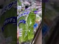 مگه میشه سبزی رو تو ژاپن کیلوئی خرید! ^_^ #japan #food #interesting #ژاپن #آشپزی #غذا #