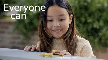 Curious Questions? Get fun facts with Microsoft Copilot