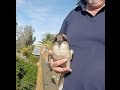 Hug your Kookaburra day