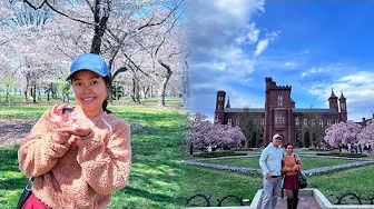 Filipina in DC: Cherry Blossom Dreams on Our Last Day