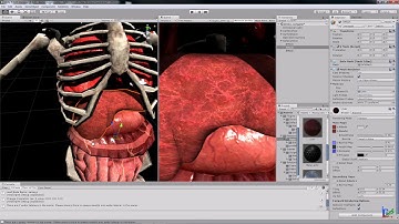 Sofa in Unity - 3D Liver tickling