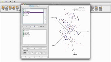 Linear Projections Orange Widget