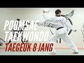 Taekwondo poomsae taegeuk 8 jang 8