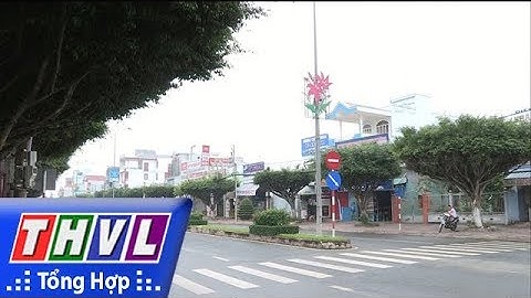 THVL | Cây xanh trên đường phố Vĩnh Long còn nhiều bất cập