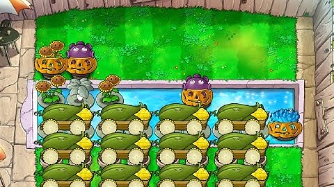 Half Minimalist Cobless Half 24 Cob | Survival Endless