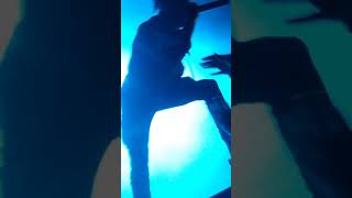 Scarlxrd Live At The Trees.